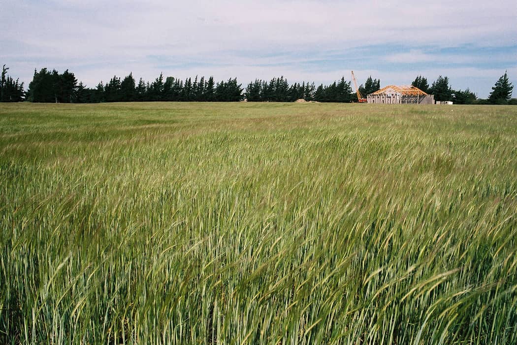 Field showing Cloudy Bay winery under construction