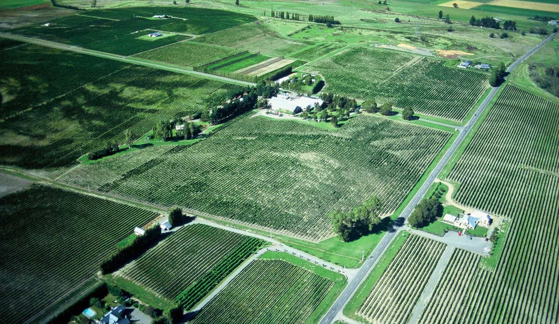 Aerial photograph of Cloudy Bay vineyards in Marlborough