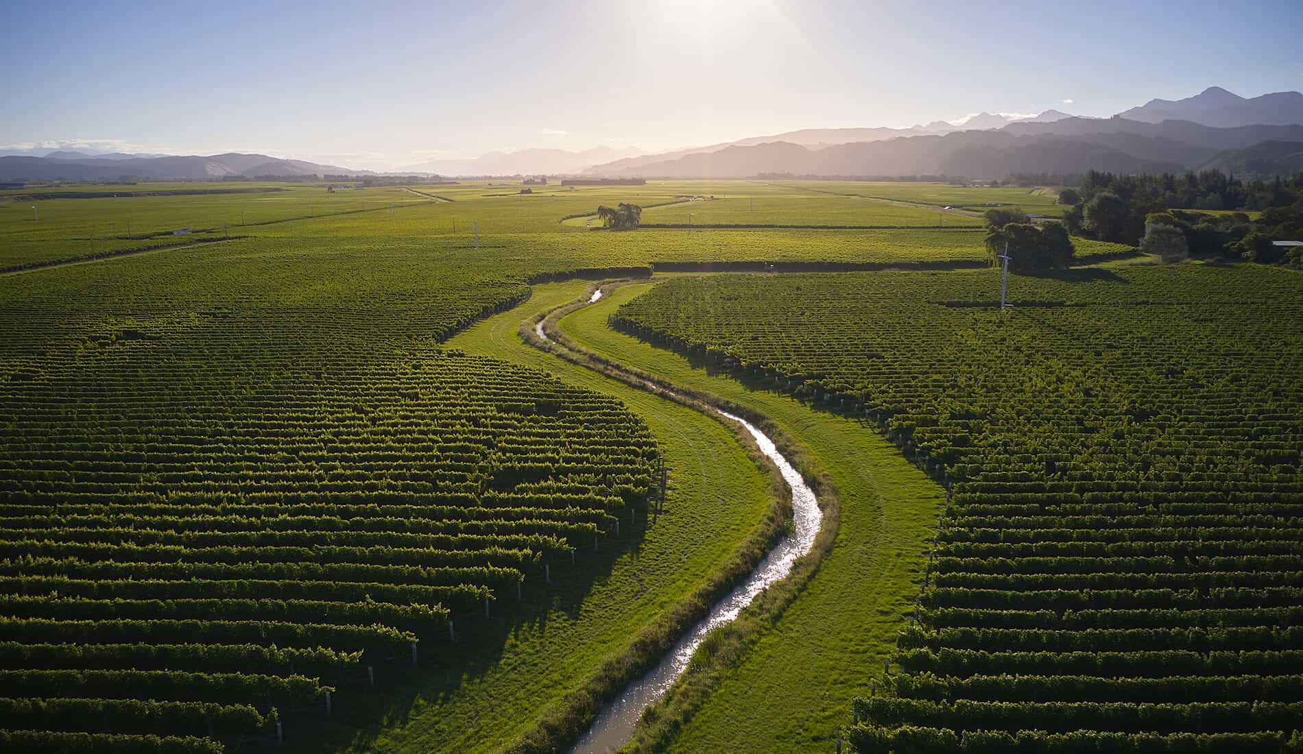 Marlborough wine tasting, the Cloudy Bay way