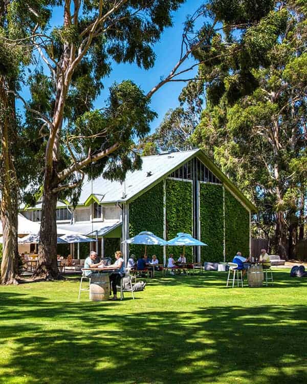 Exterior of Cloudy Bay's Marlborough tasting rooms