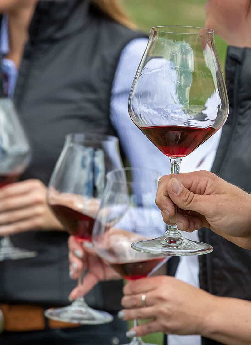 Cloudy Bay - Central Otago - Tailor-Made Tasting