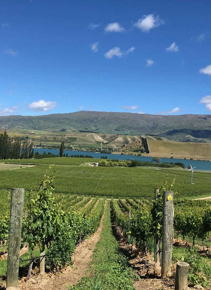 Cloudy Bay - Central Otago - Vineyard Tour by car