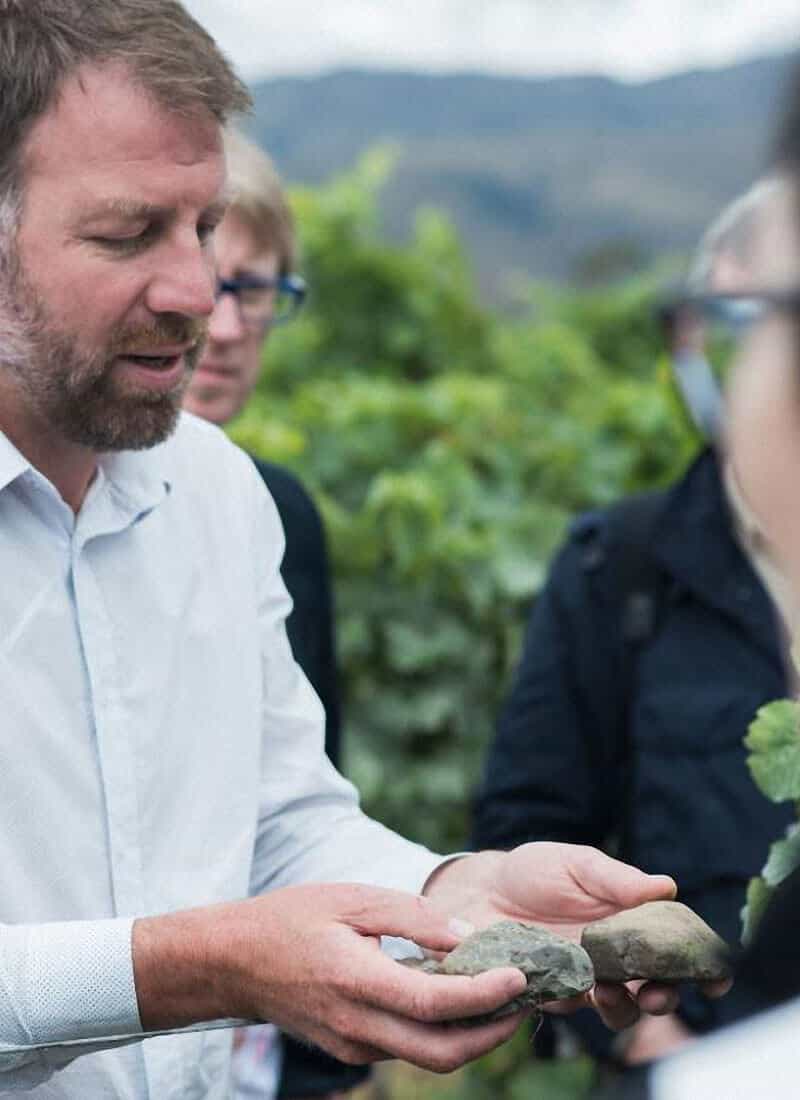 Cloudy Bay - Central Otago - Vineyard Tour by car