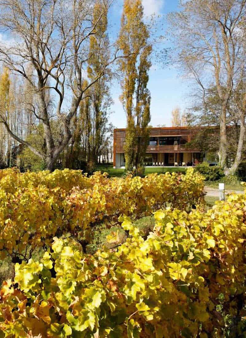 Cloudy Bay Virtual Wine Tasting