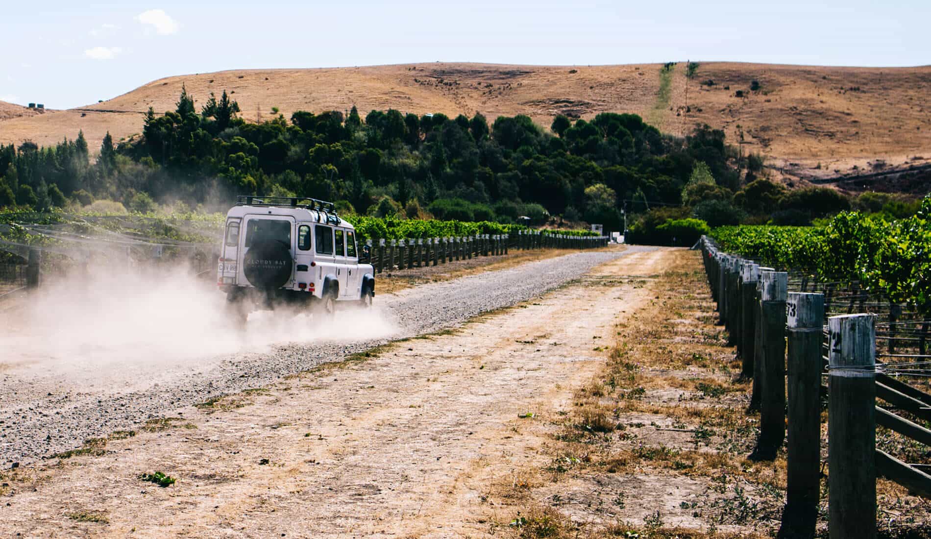 Wine & Dine in Blenheim - Cloudy Bay Vineyard - GCH Aviation New Zealand