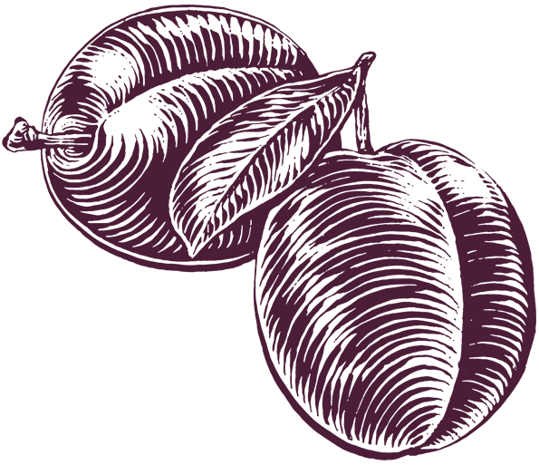 Plum