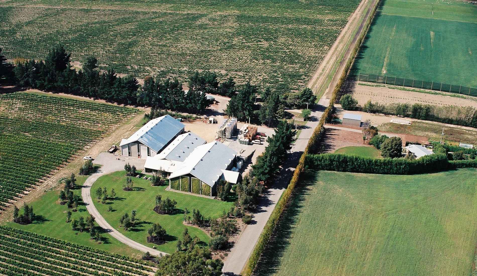 Aerial photograph of Cloudy Bay vineyards in Marlborough