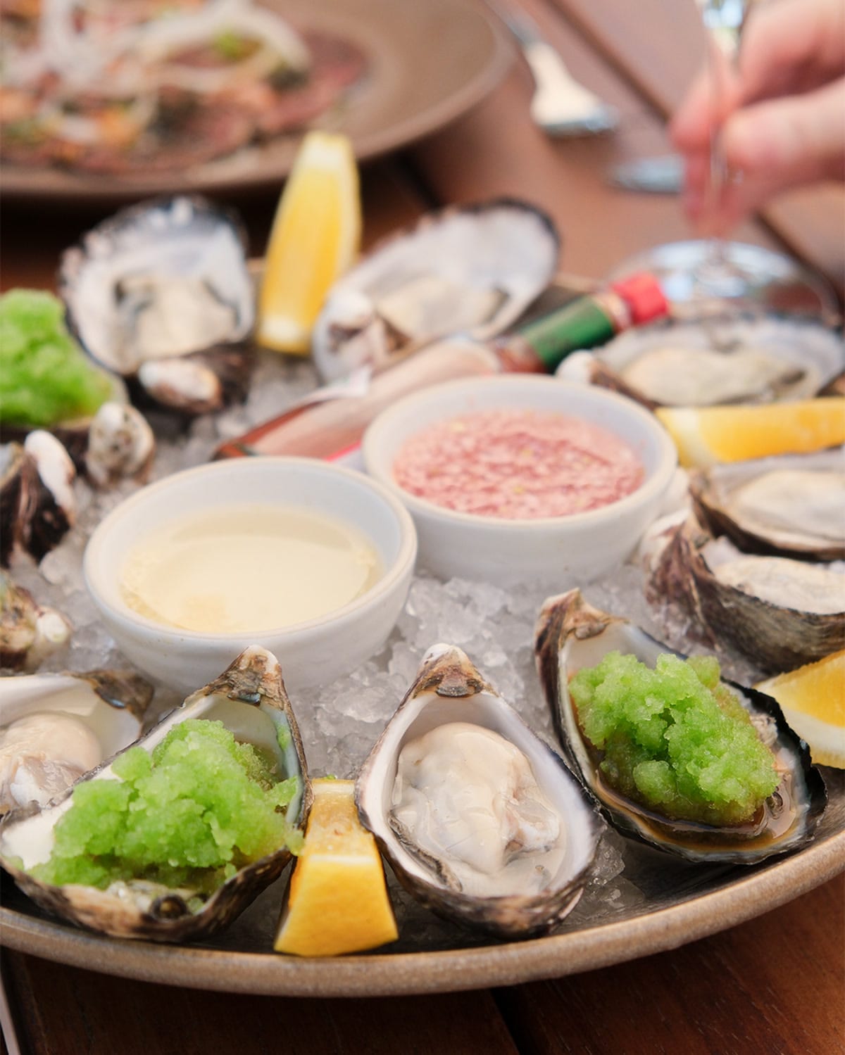 close up of oysters