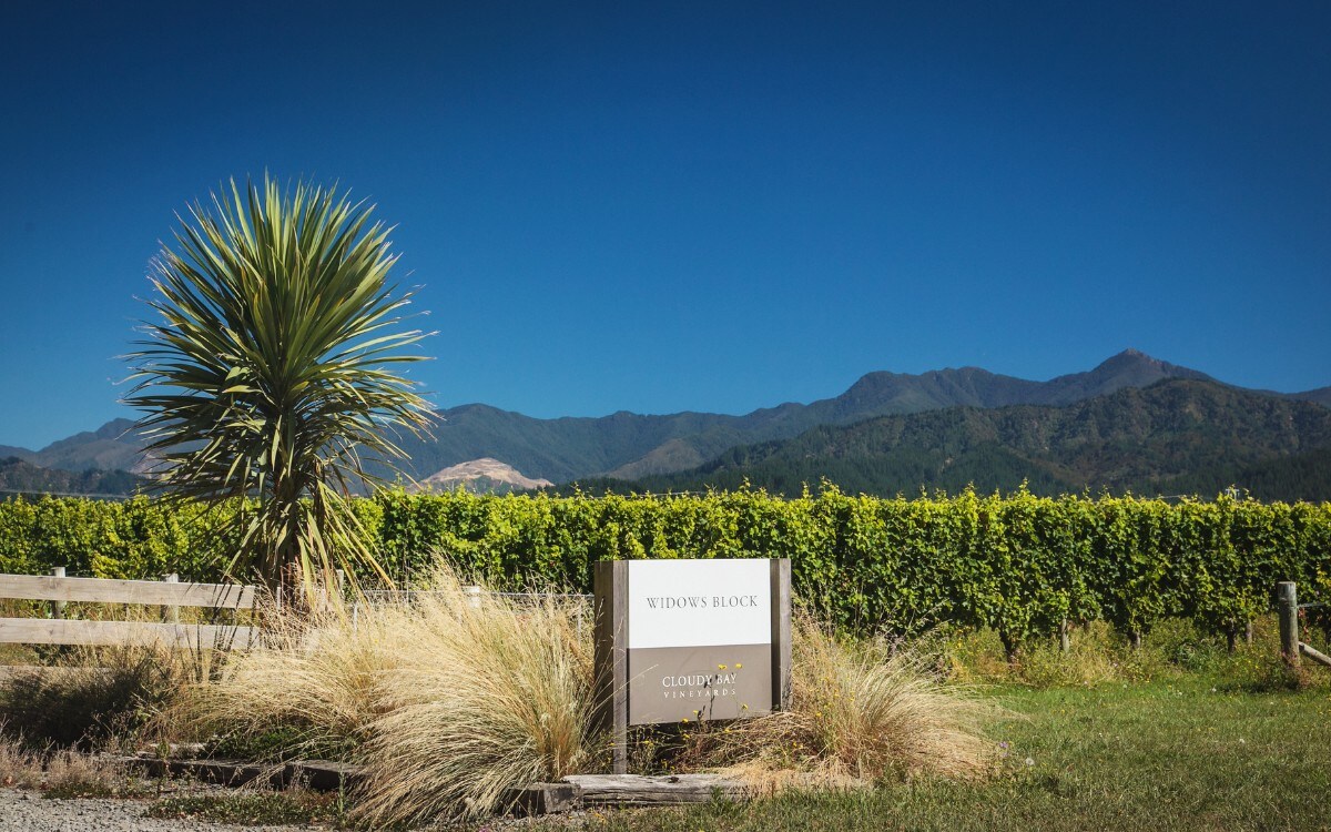 The Widow's Vineyard in Marlborough.