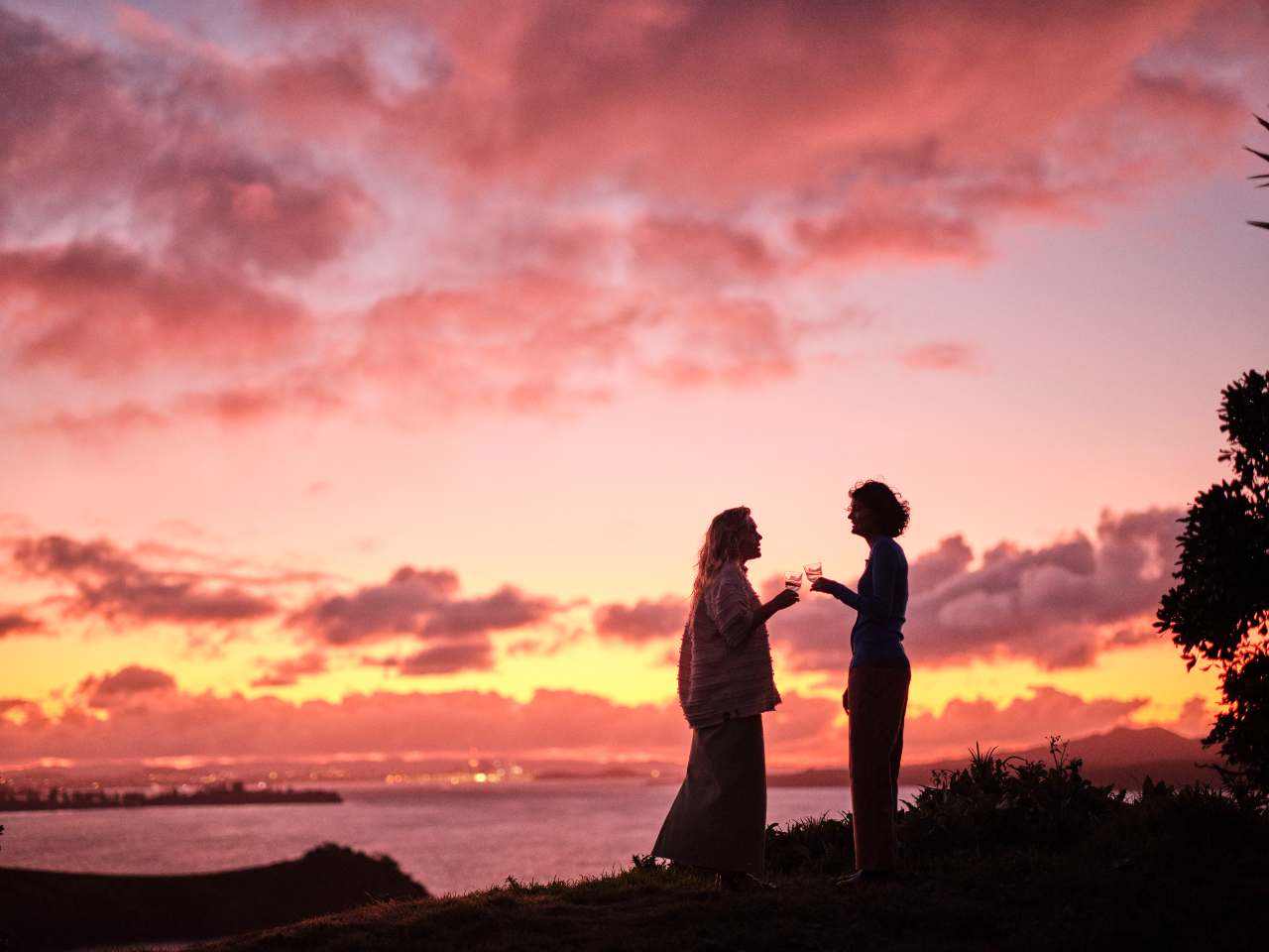 friends cheersing at sunset