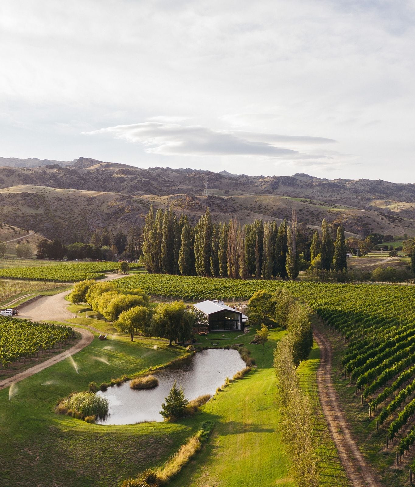 Cloudy Bay The Shed in Central Otago