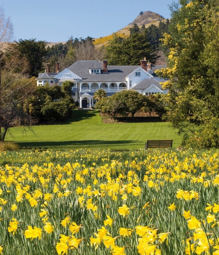 Join us at Otahuna Lodge, where a seasonal menu awaits — and one million blooming daffodils offer the warmest welcome.