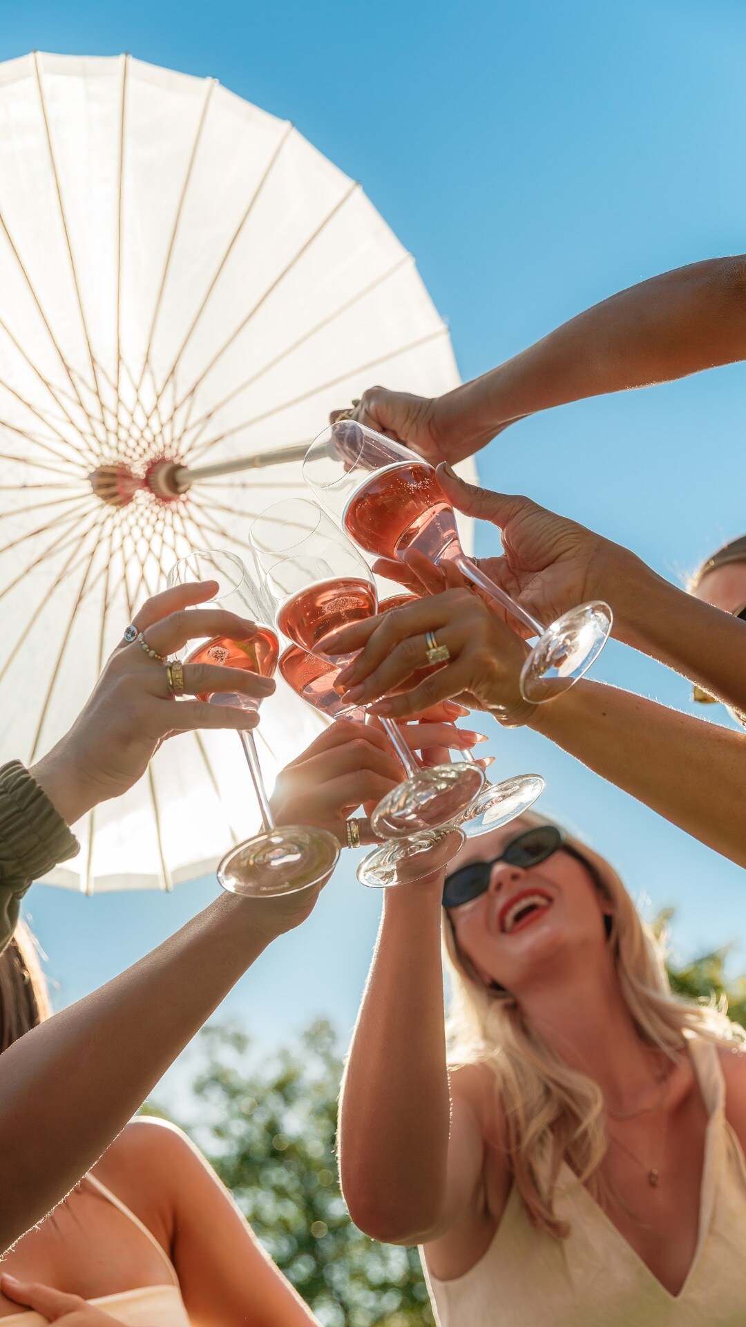 pelorus cheers in sun