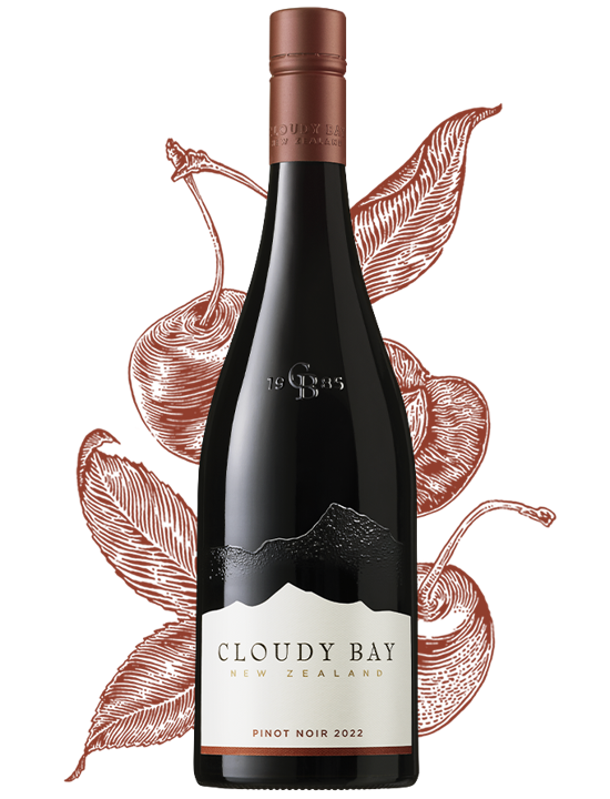 pinot-noir-2022