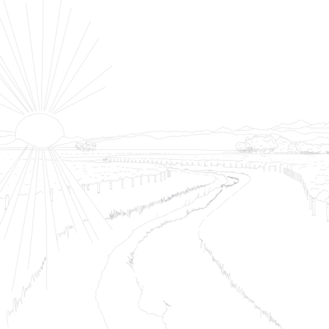 outline-of-vineyard