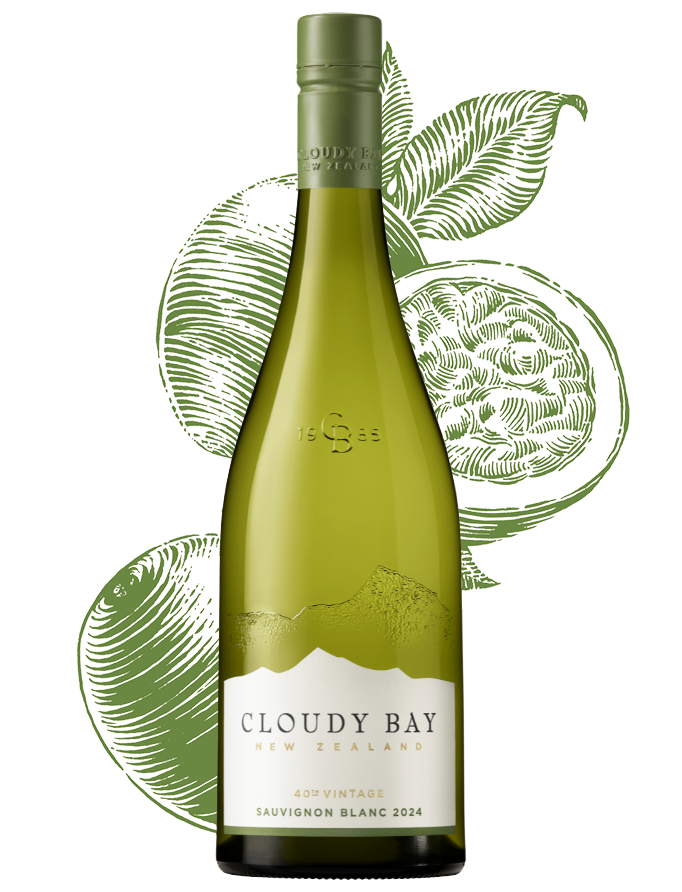 sauvignon blanc