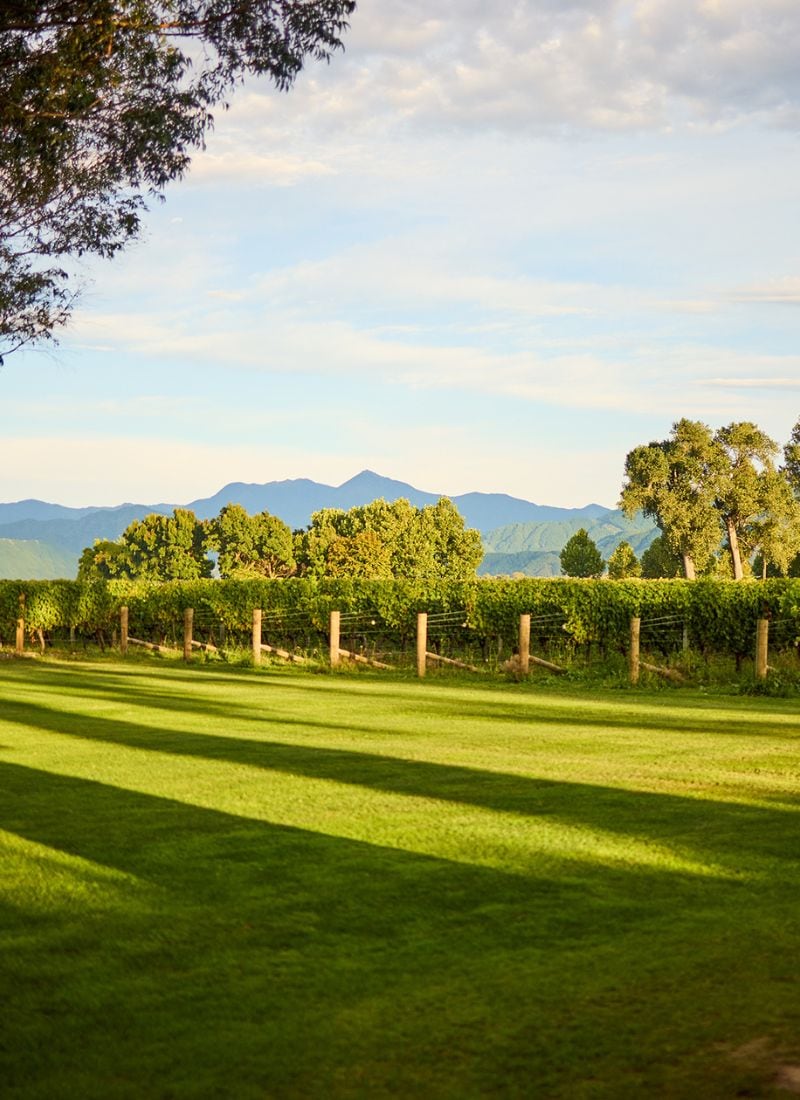 Cloudy Bay - Tailor made tasting