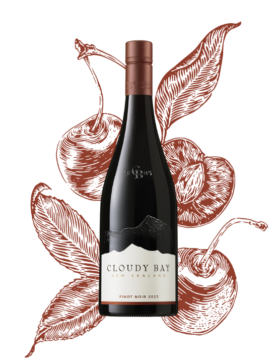 Pinot Noir 2023