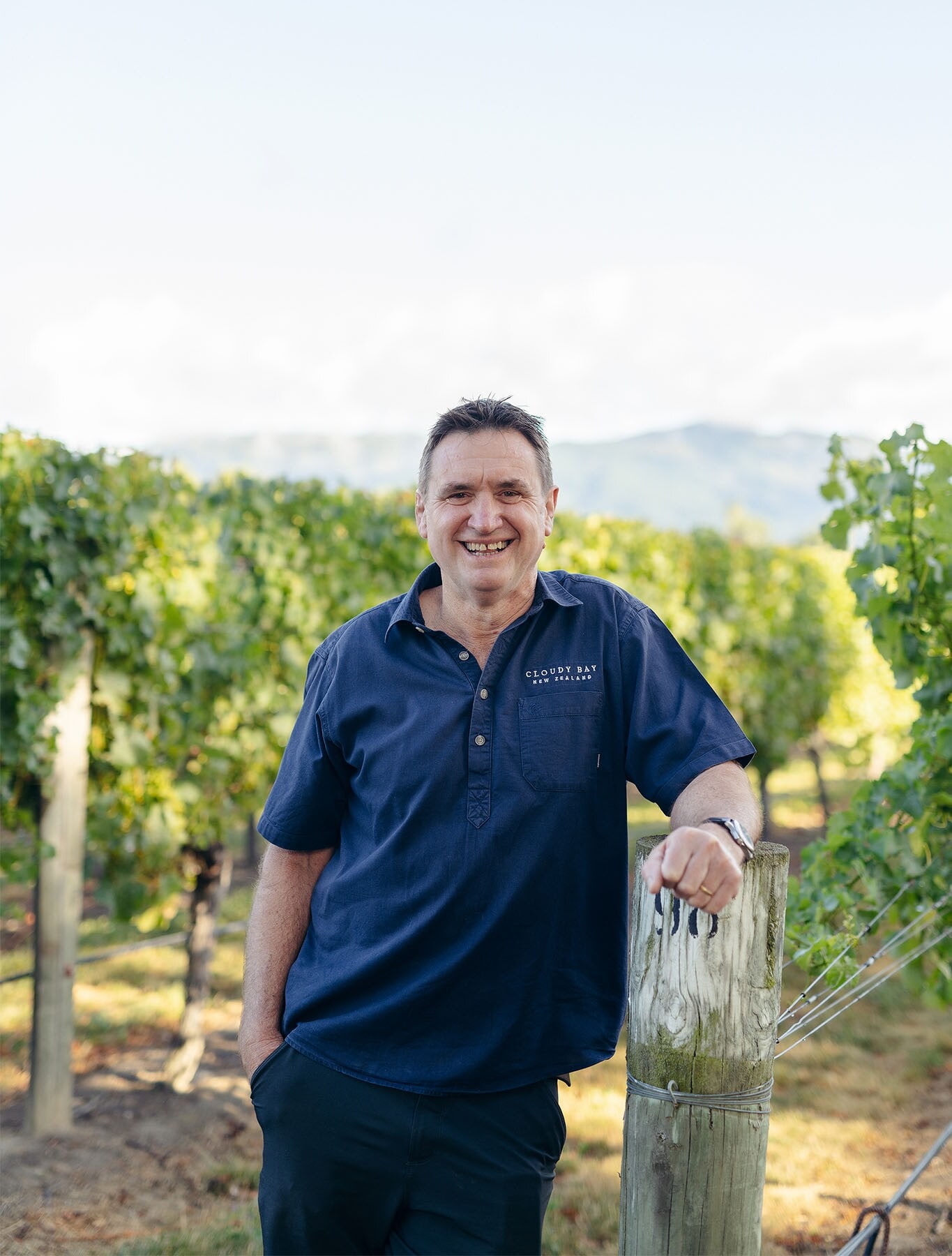 John in the vineyard