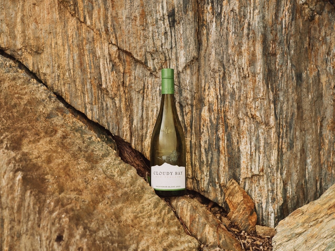 sauvignon blanc 2025
