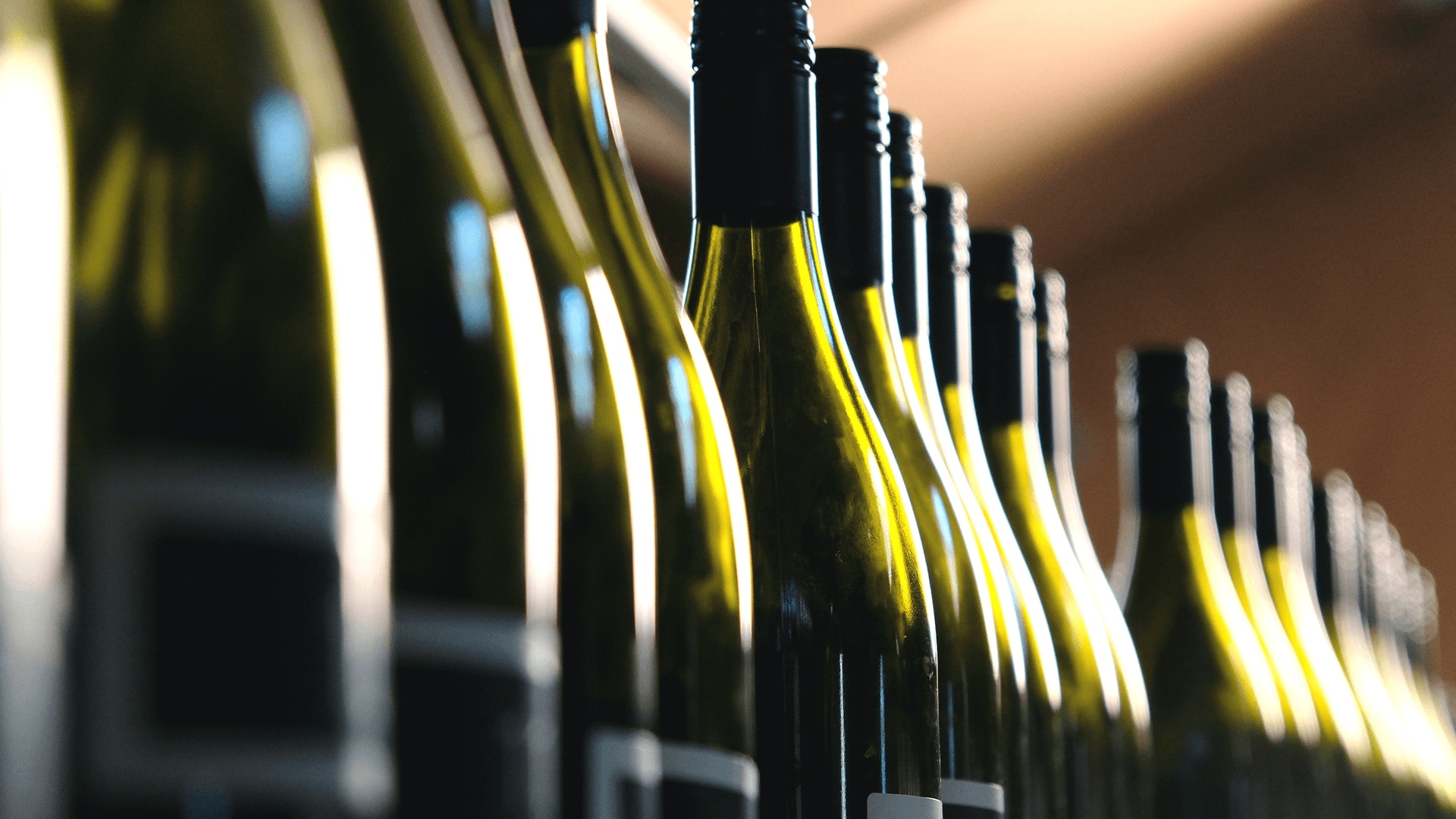 row of sauvignon blanc bottles