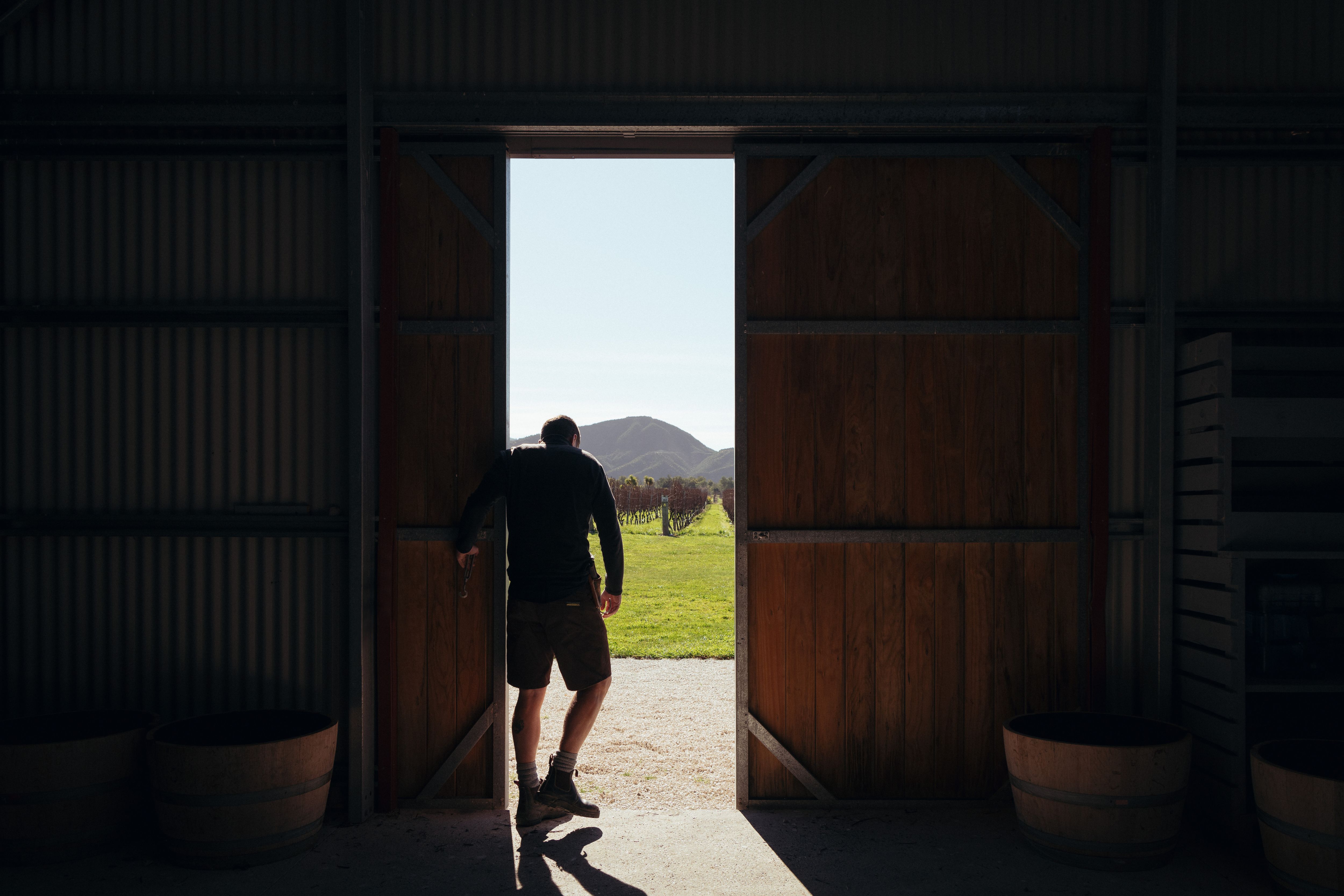 vineyard worker