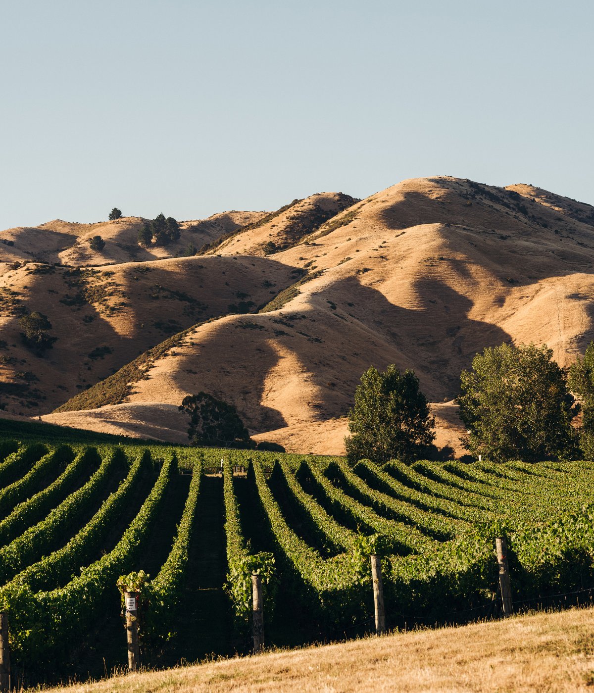 marlborough1