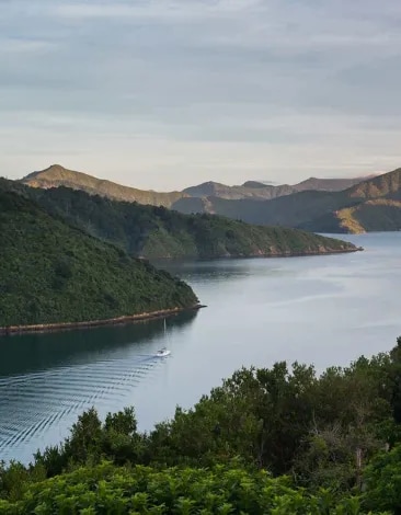 Cloudy Bay - Sail Away