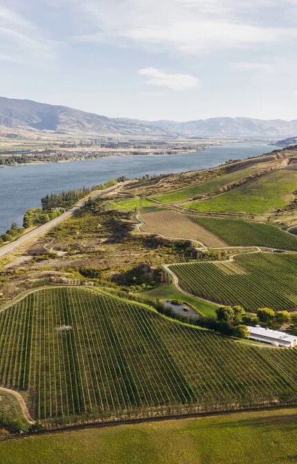 Aerial photo of Cloudy Bay vineyards in Central Otago