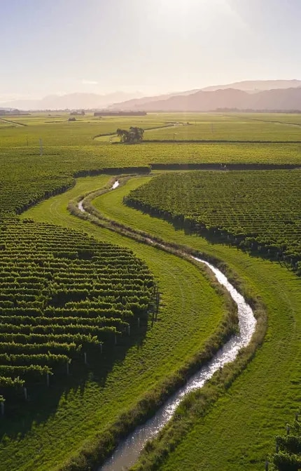 Aerial photograph of a river running through Cloudy Bay's Marlborough vineyards