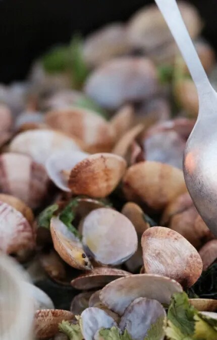 Garlic Infused Mediterranean Clams