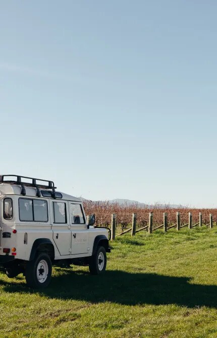 Terms and conditions Marlborough Wine and Food Festival 2026