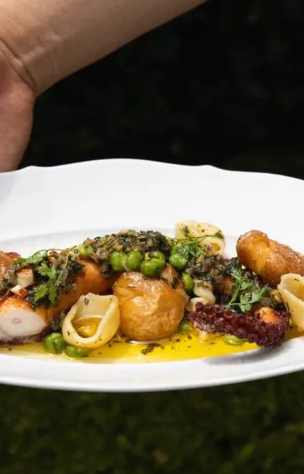 soft-cooked-octopus