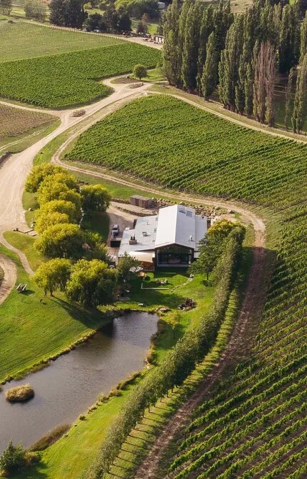 Aerial view of Northburn Vineyard