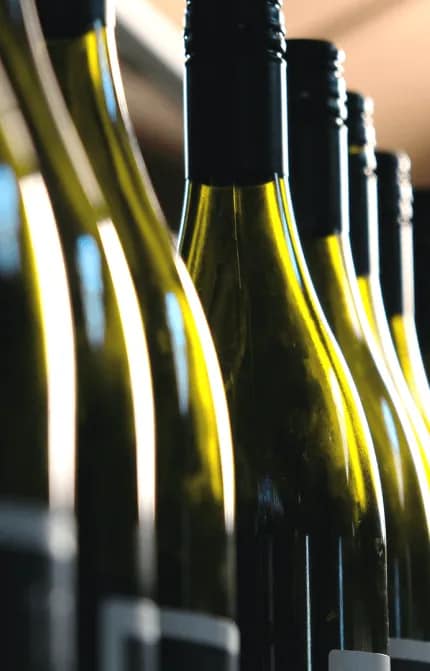 row of sauvignon blanc bottles