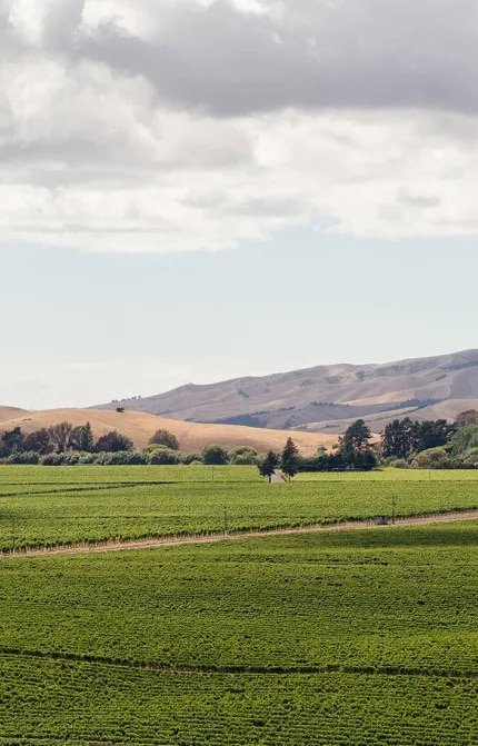 Landscape photography