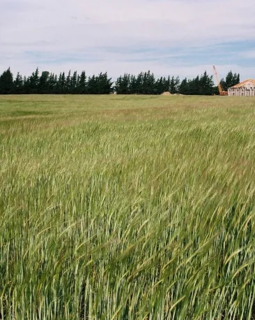cloudy-bay-about-us-origins-winery-building