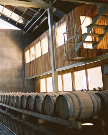 cloudy-bay-about-us-winery-barrels