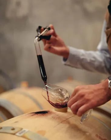cloudy-bay-our-wines-marlborough-pinot-noir-winemaking_10