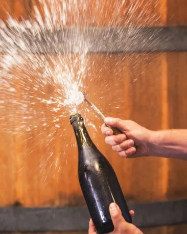 cloudy-bay-our-wines-pelorus-sparkling-winemaking