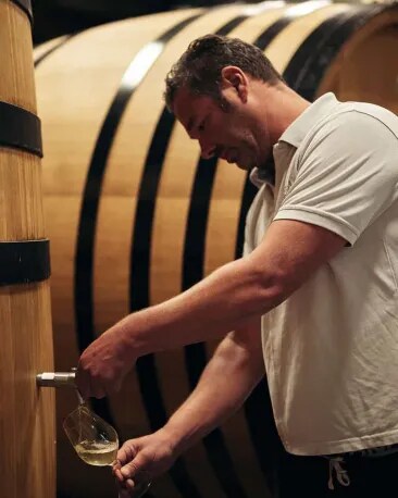 cloudy-bay-our-wines-te-koko-marlborough-sauvignon-blanc-winemaking_8
