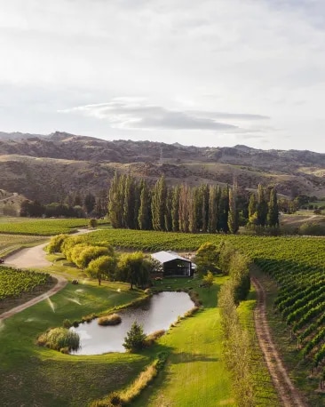 the-shed-central-otago_0