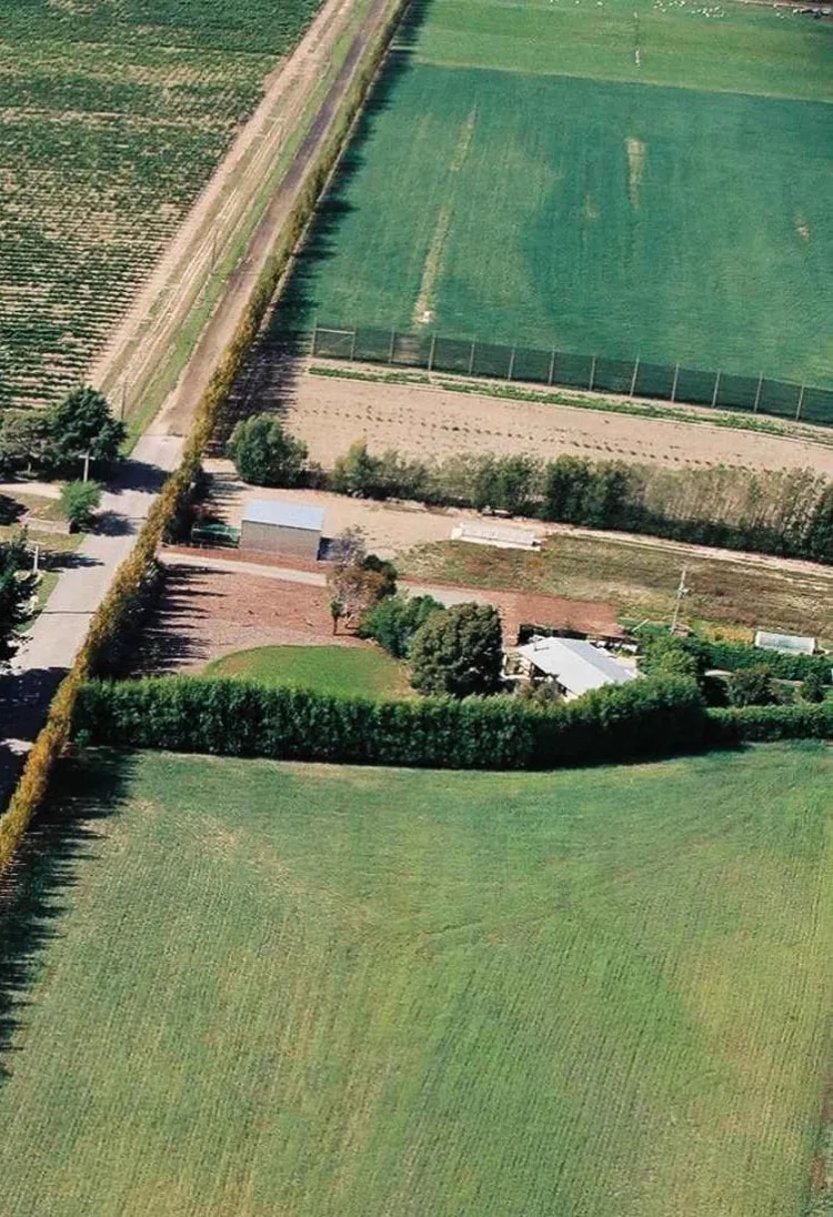 Aerial photograph of Cloudy Bay vineyards in Marlborough