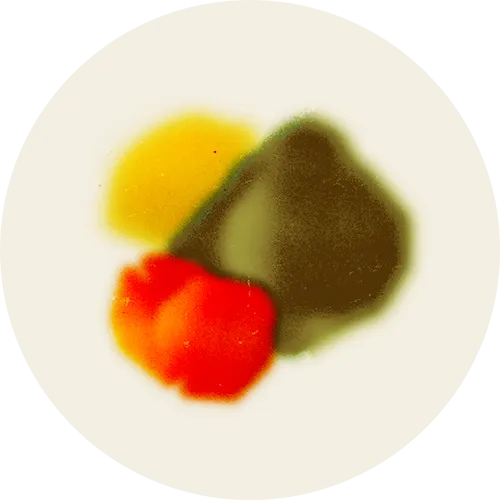 Chardonnay tasting keynotes